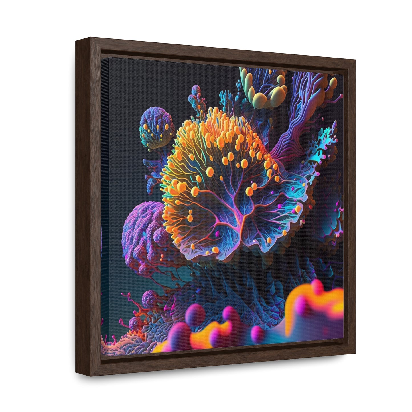 Gallery Canvas Wraps, Square Frame Ocean Life Macro 1