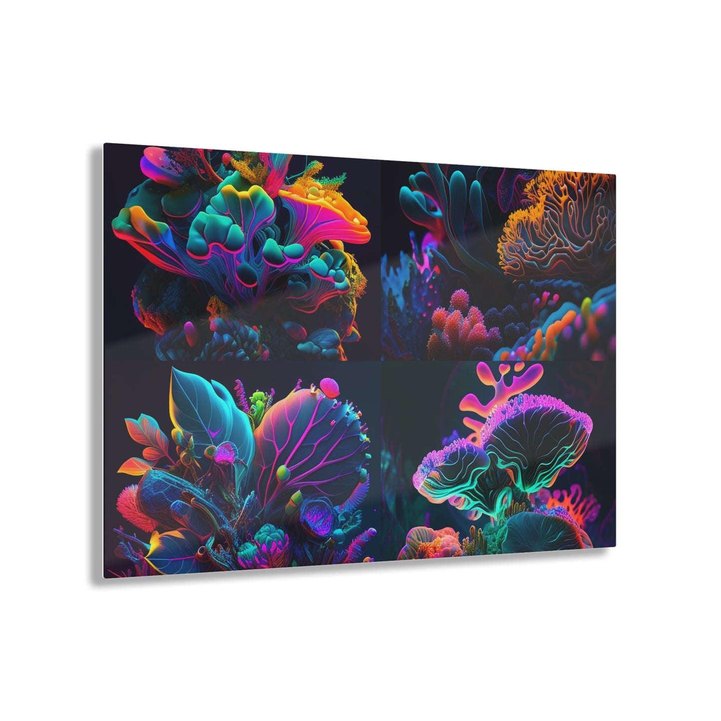 Acrylic Prints Macro Coral Reef 5