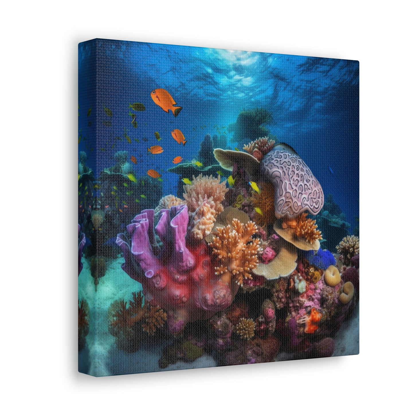 Coral Reef 2