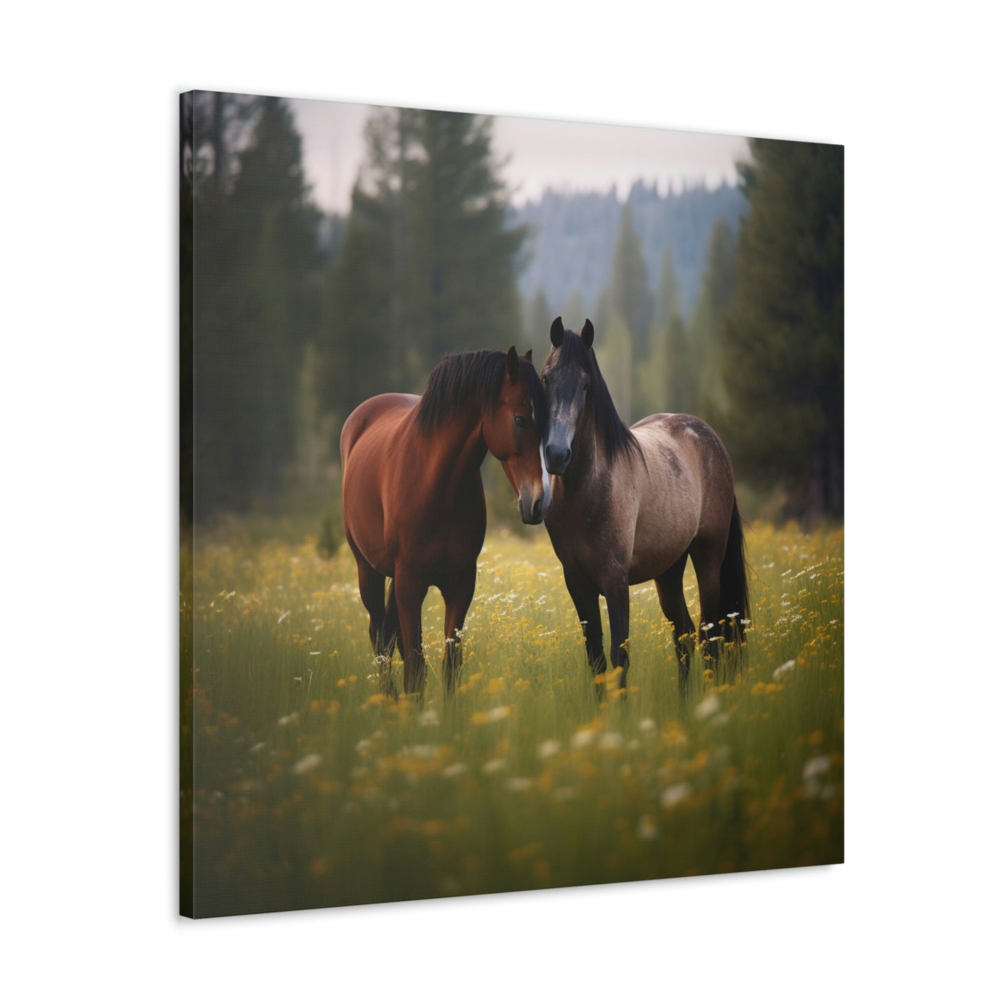 Canvas Gallery Wraps Horse Buddy 1