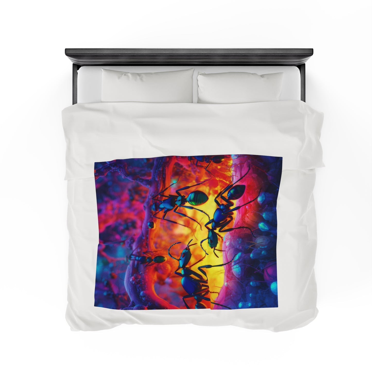 Velveteen Plush Blanket Ants Home 3