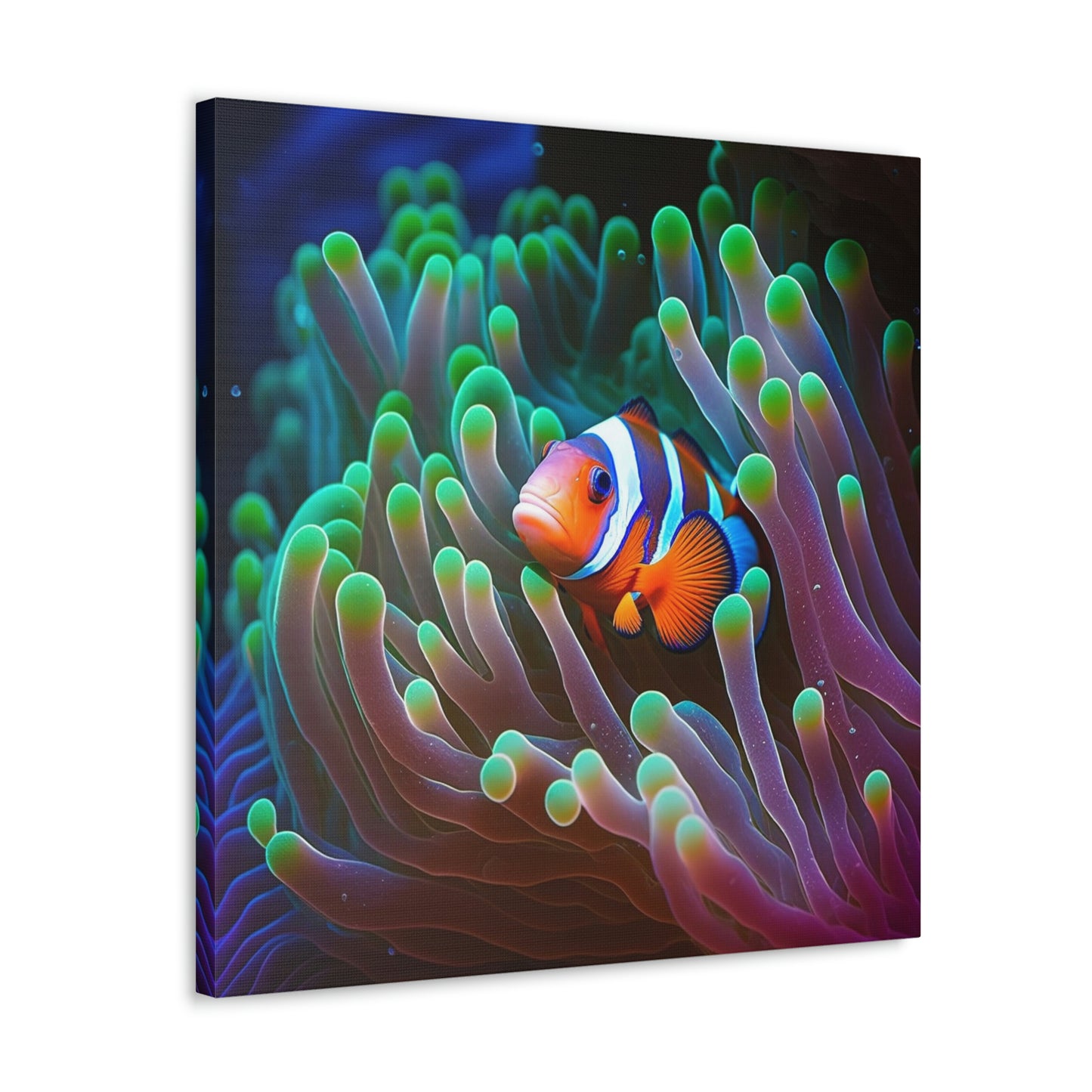 Canvas Gallery Wraps Clownfish Anemone 4