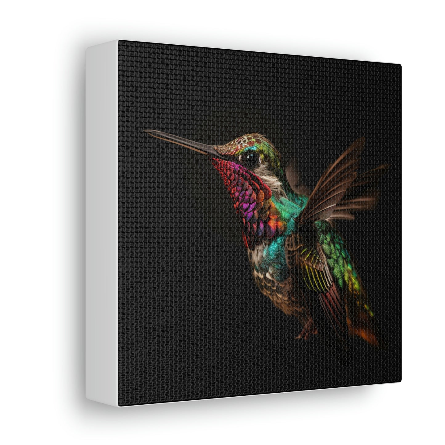Colorful hummingbird real look