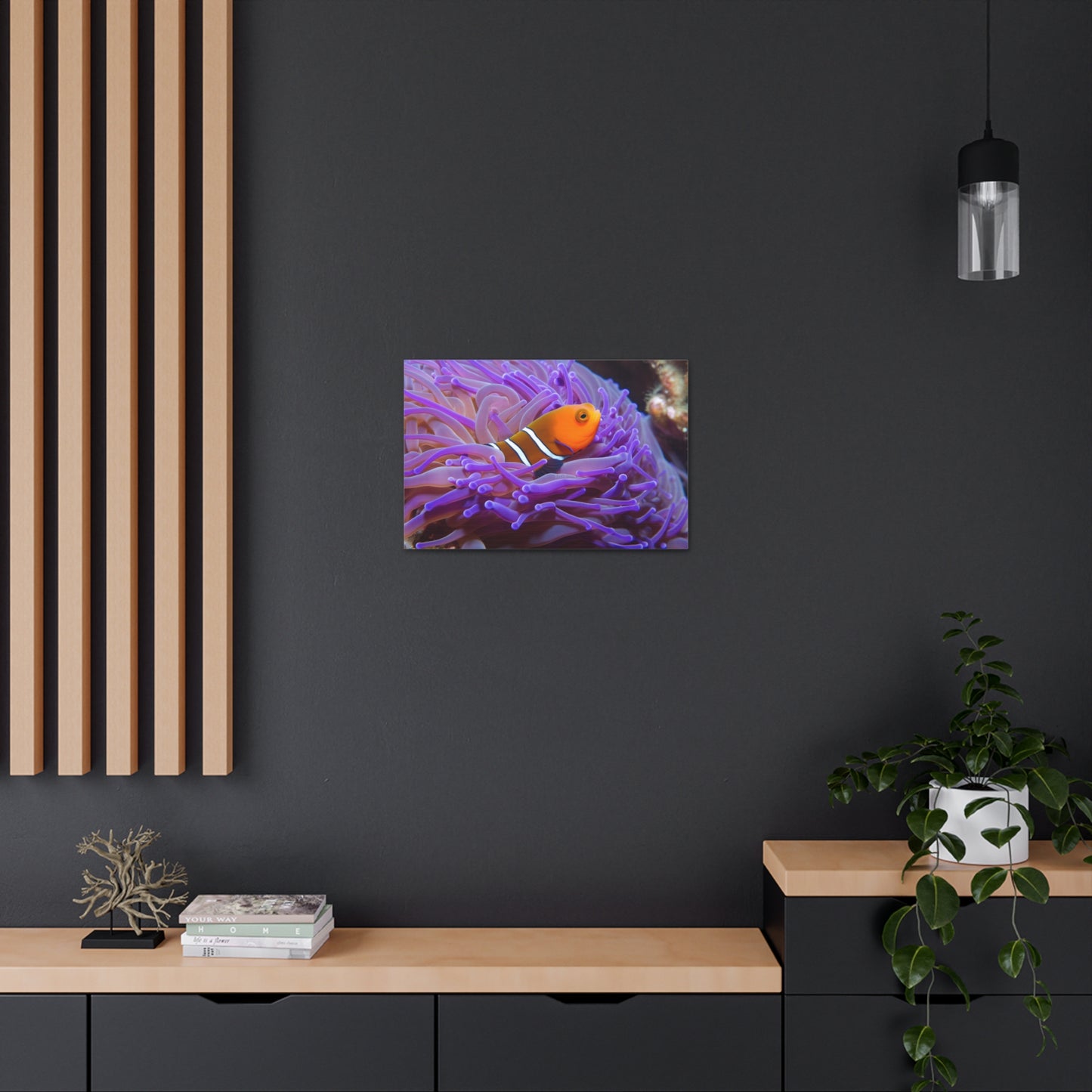 Canvas Gallery Wraps Anemone Clown 3