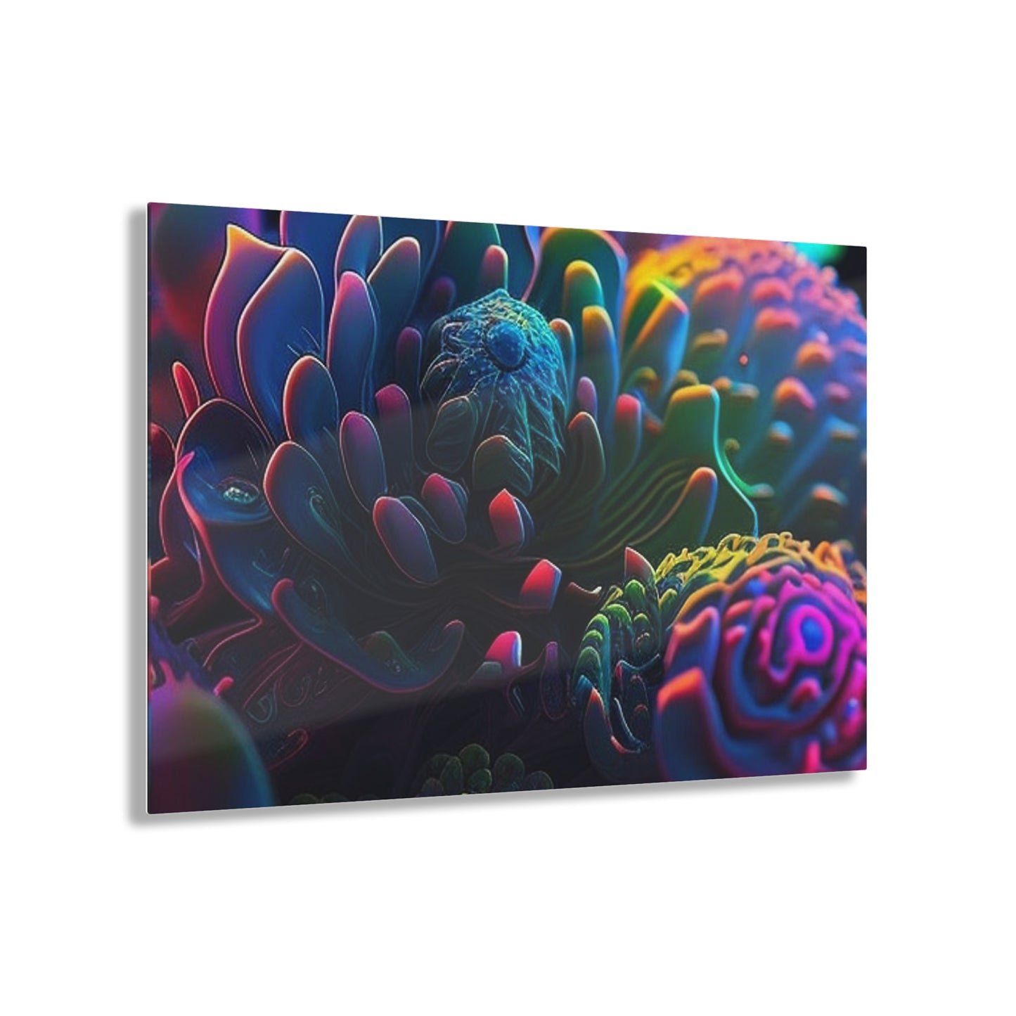 Acrylic Prints Ocean Life Macro 4