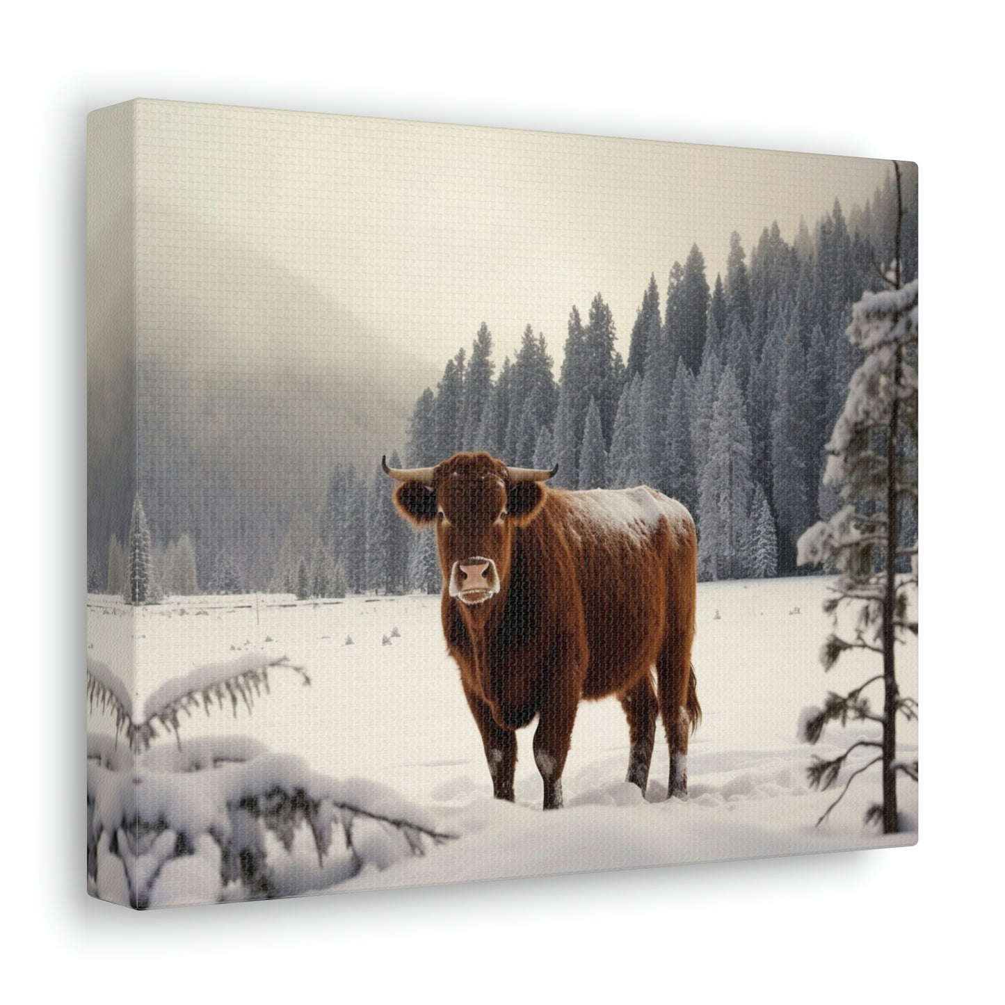 Canvas Gallery Wraps Cow Snow 3