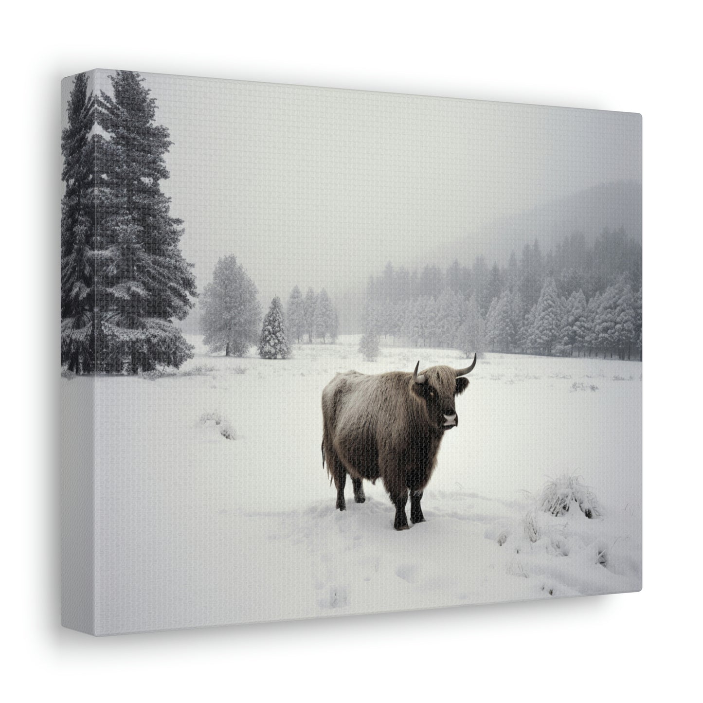 Canvas Gallery Wraps Cow Snow 4