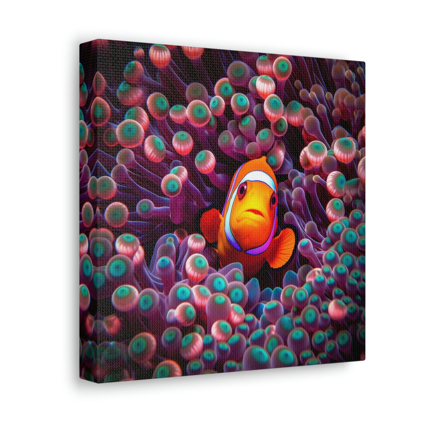 Canvas Gallery Wraps Clown Fish 4