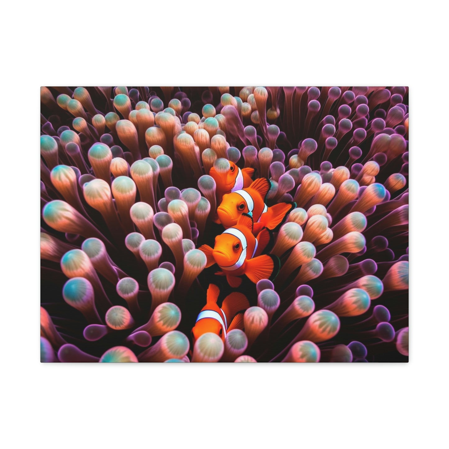 Canvas Gallery Wraps Clown Fish 3