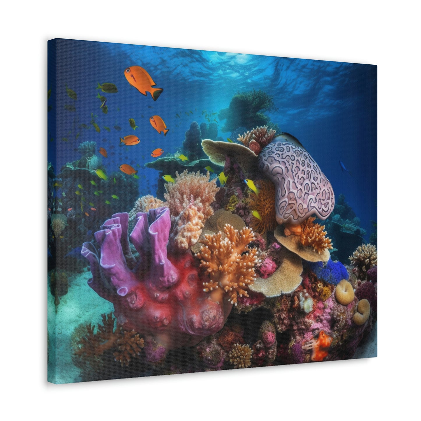 Coral Reef 2