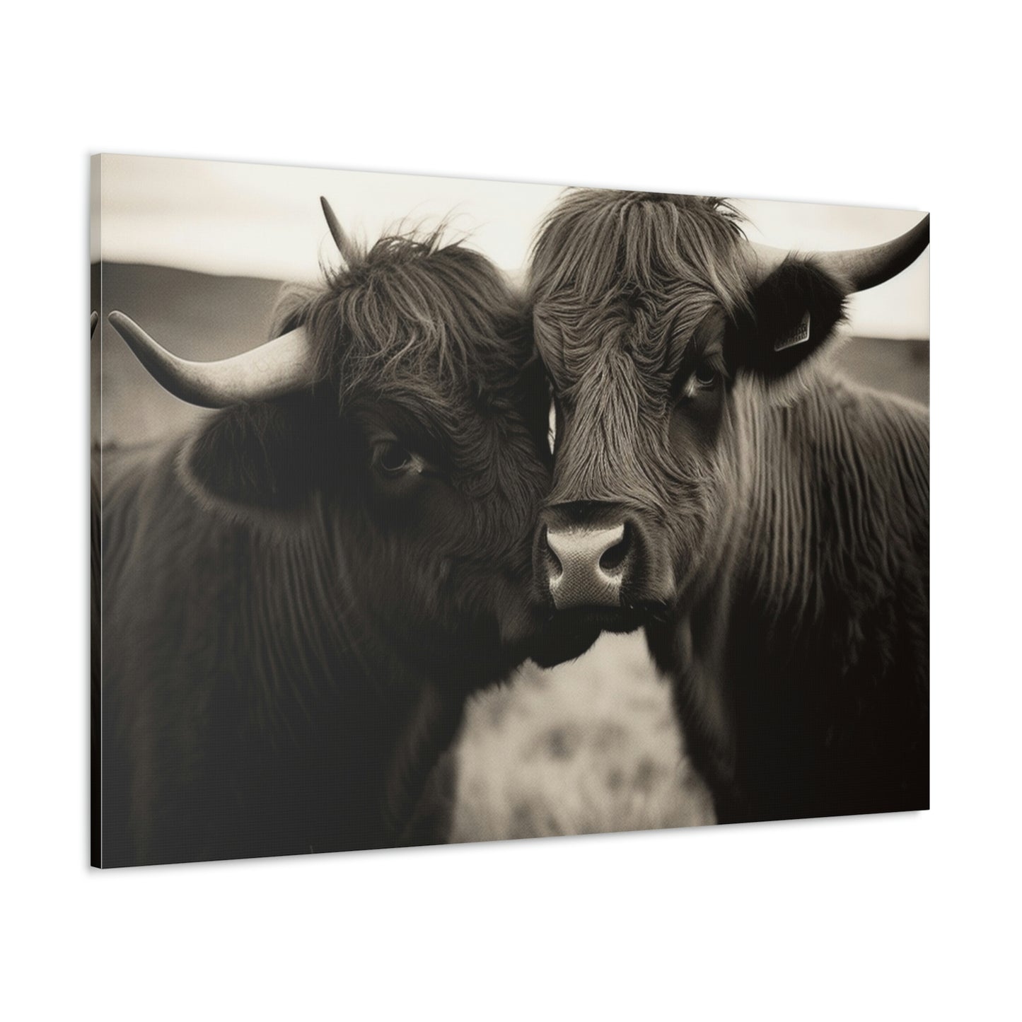 Canvas Gallery Wraps Cow Love 4