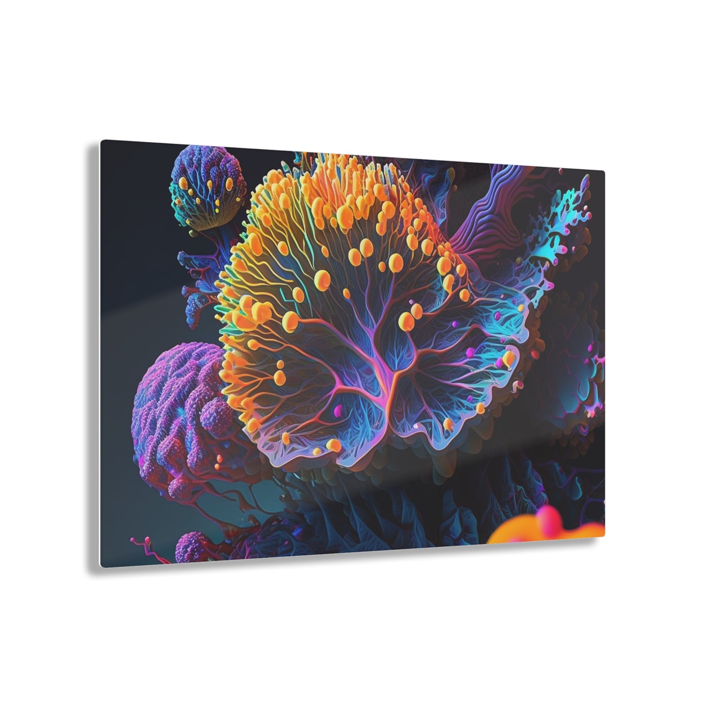 Acrylic Prints Ocean Life Macro 1