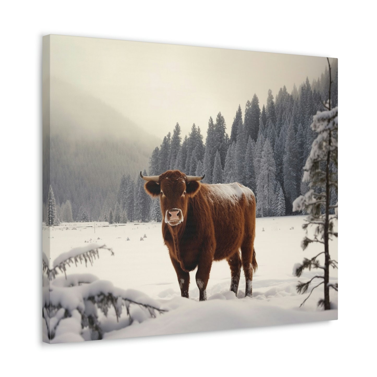 Canvas Gallery Wraps Cow Snow 3