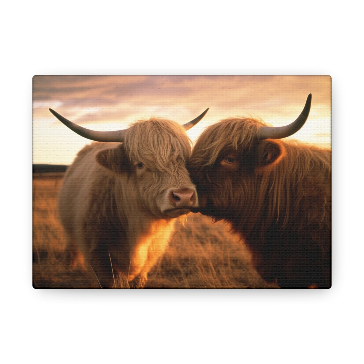 Canvas Gallery Wraps Cow Love 1