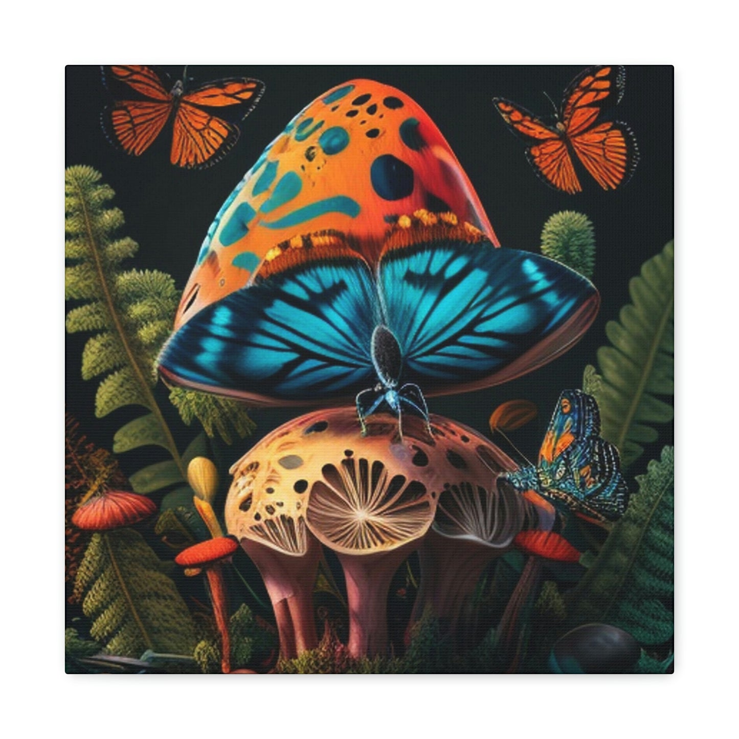 Butterfly mushroom 4