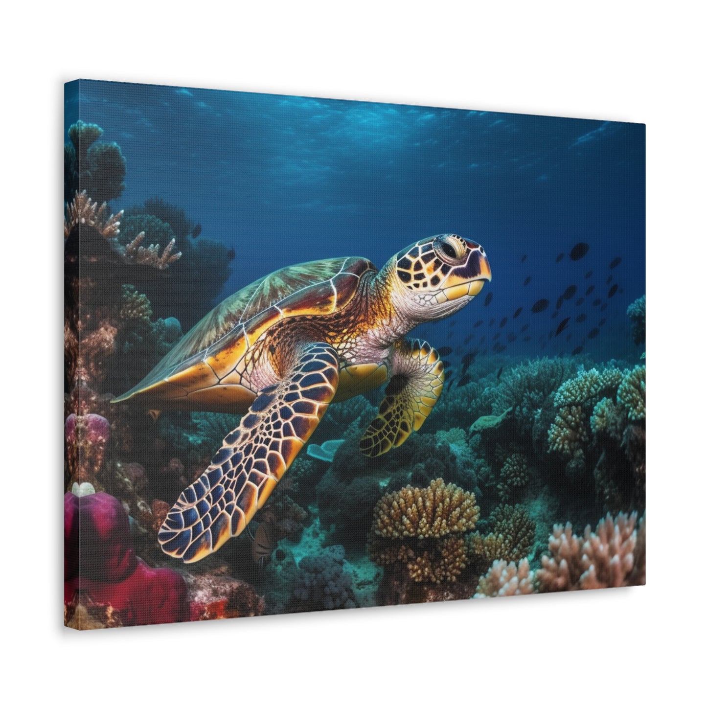 Sea Turtle Reef 1