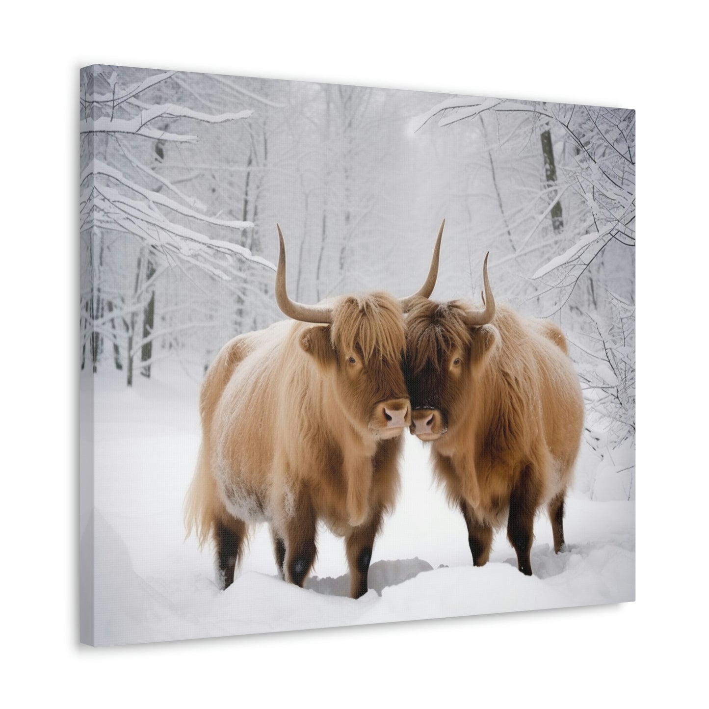 Canvas Gallery Wraps Long Haired Cow snow 1