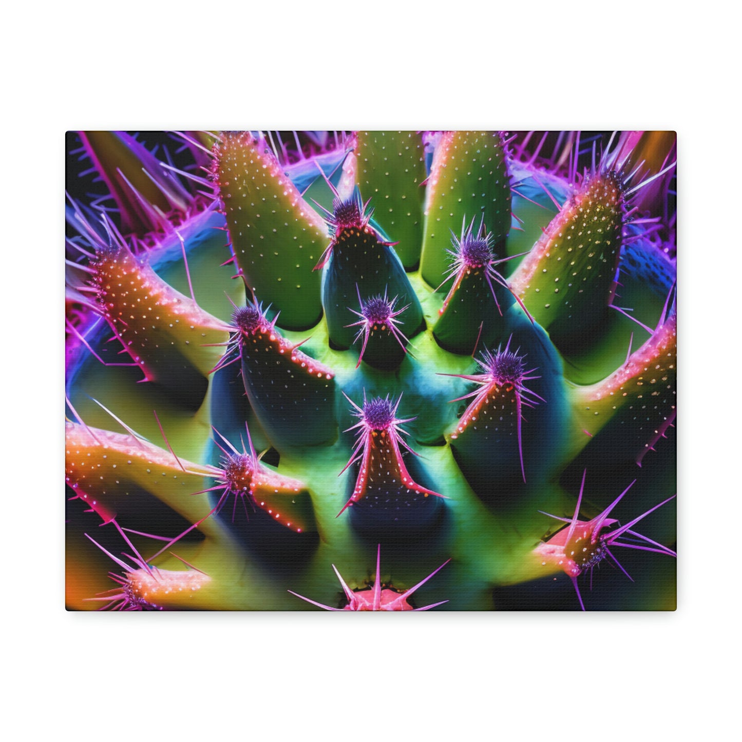 Macro Cactus 5