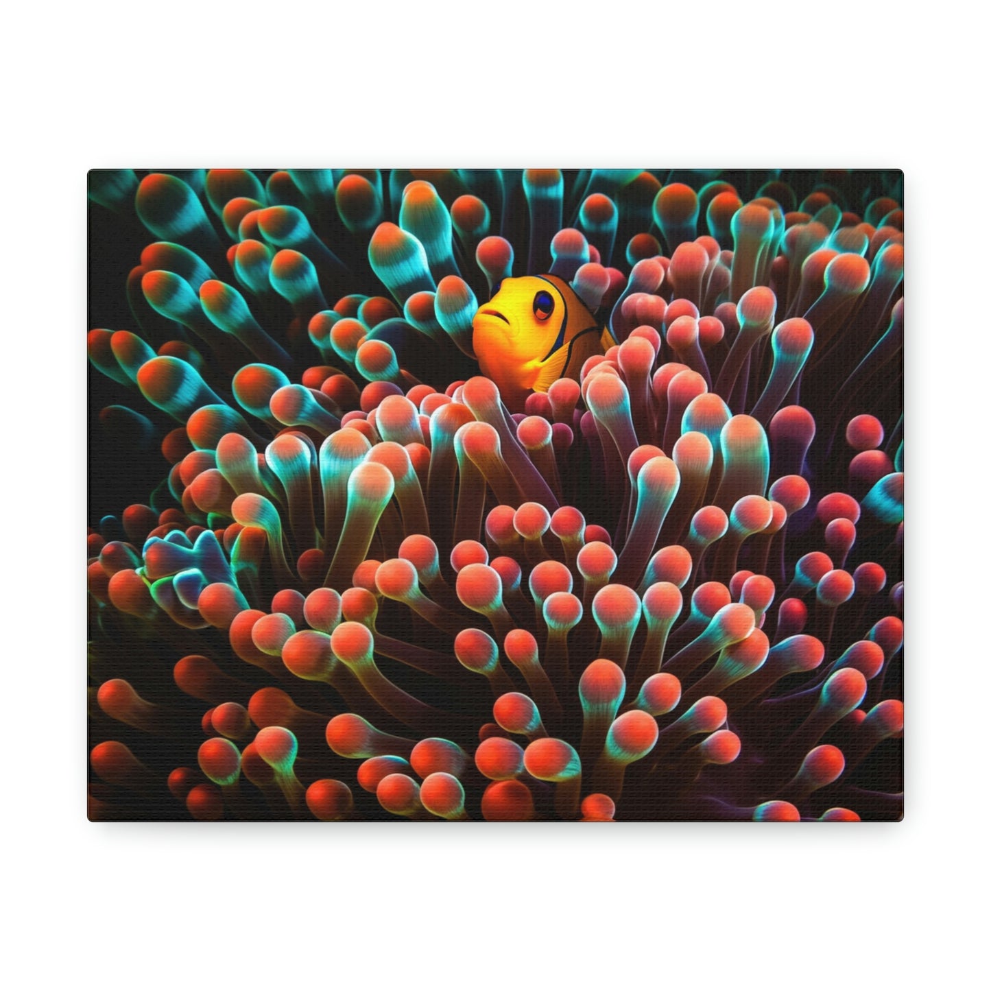Canvas Gallery Wraps Clown Fish 2