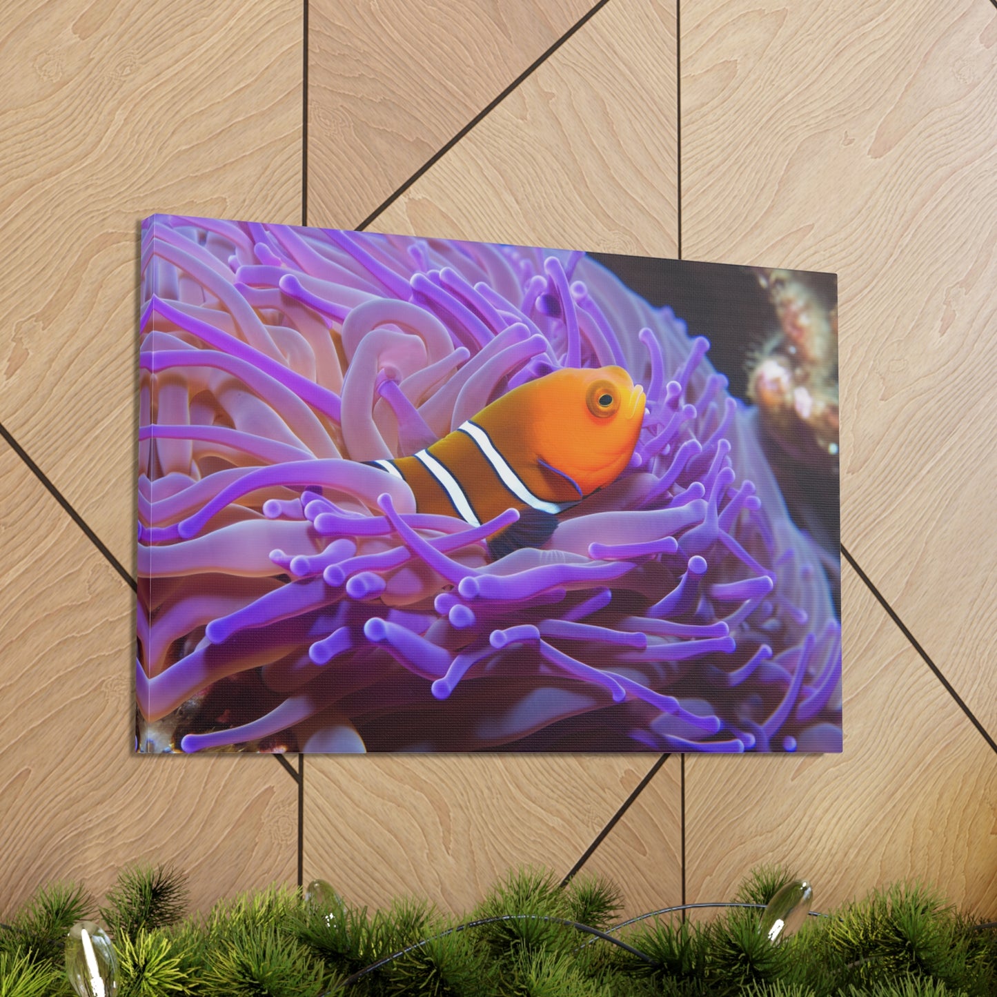 Canvas Gallery Wraps Anemone Clown 3