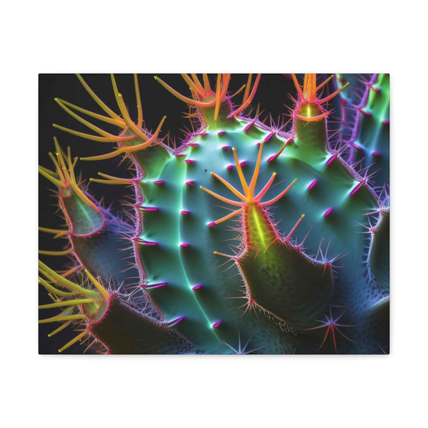 Macro Cactus 6