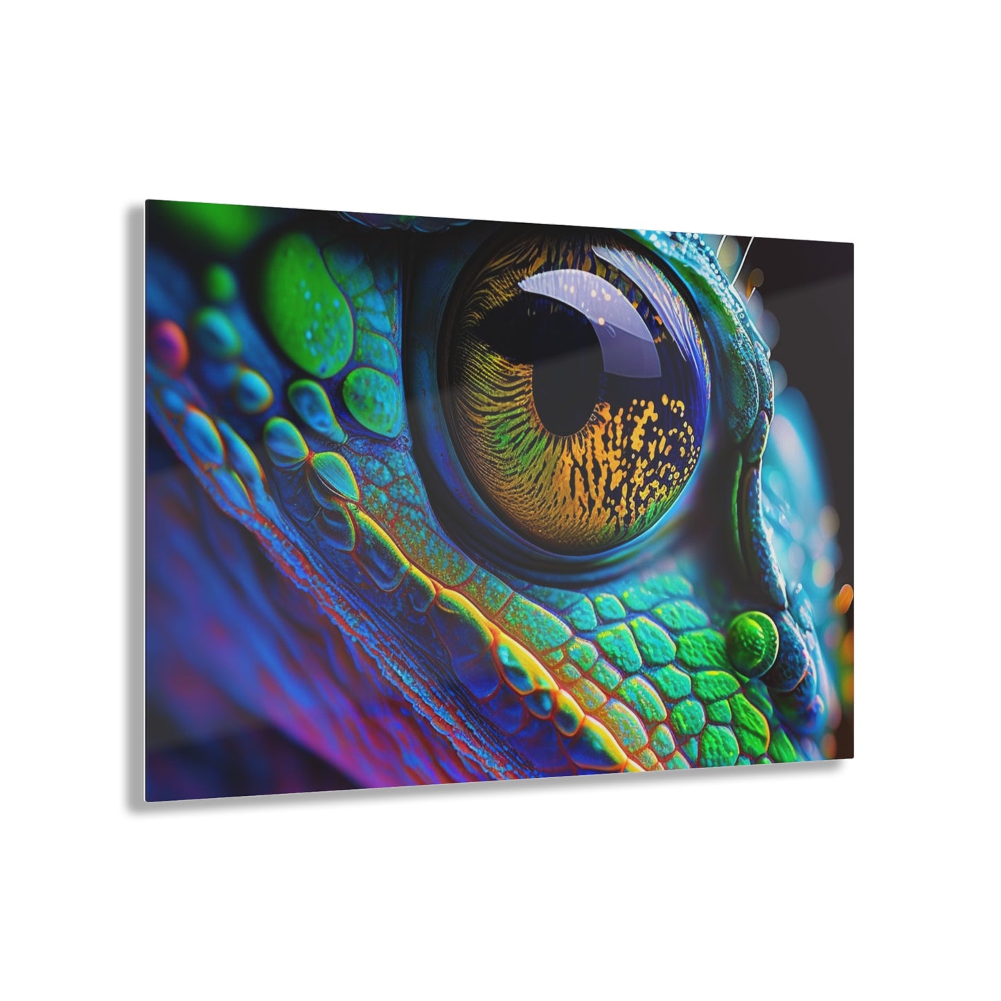 Acrylic Prints Macro Eye Photo 4