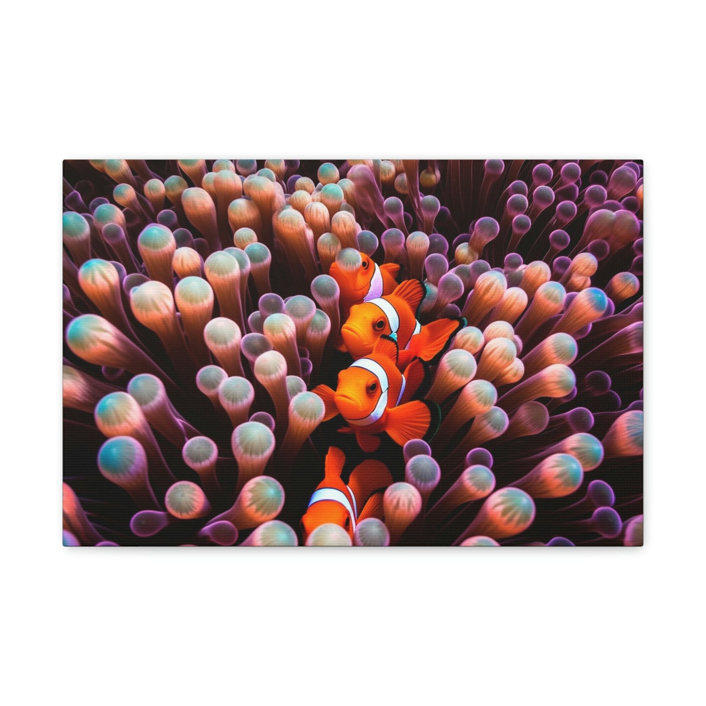 Canvas Gallery Wraps Clown Fish 3