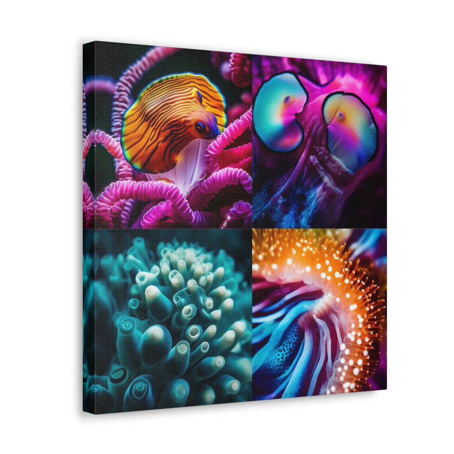 Canvas Gallery Wraps Ocean Anemone 1