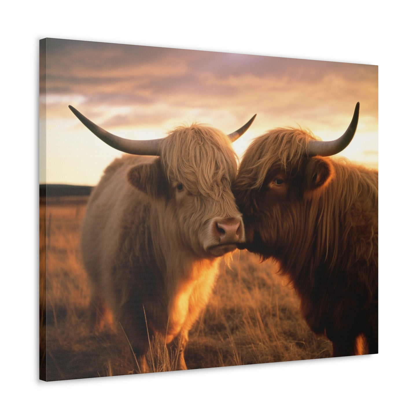 Canvas Gallery Wraps Cow Love 1