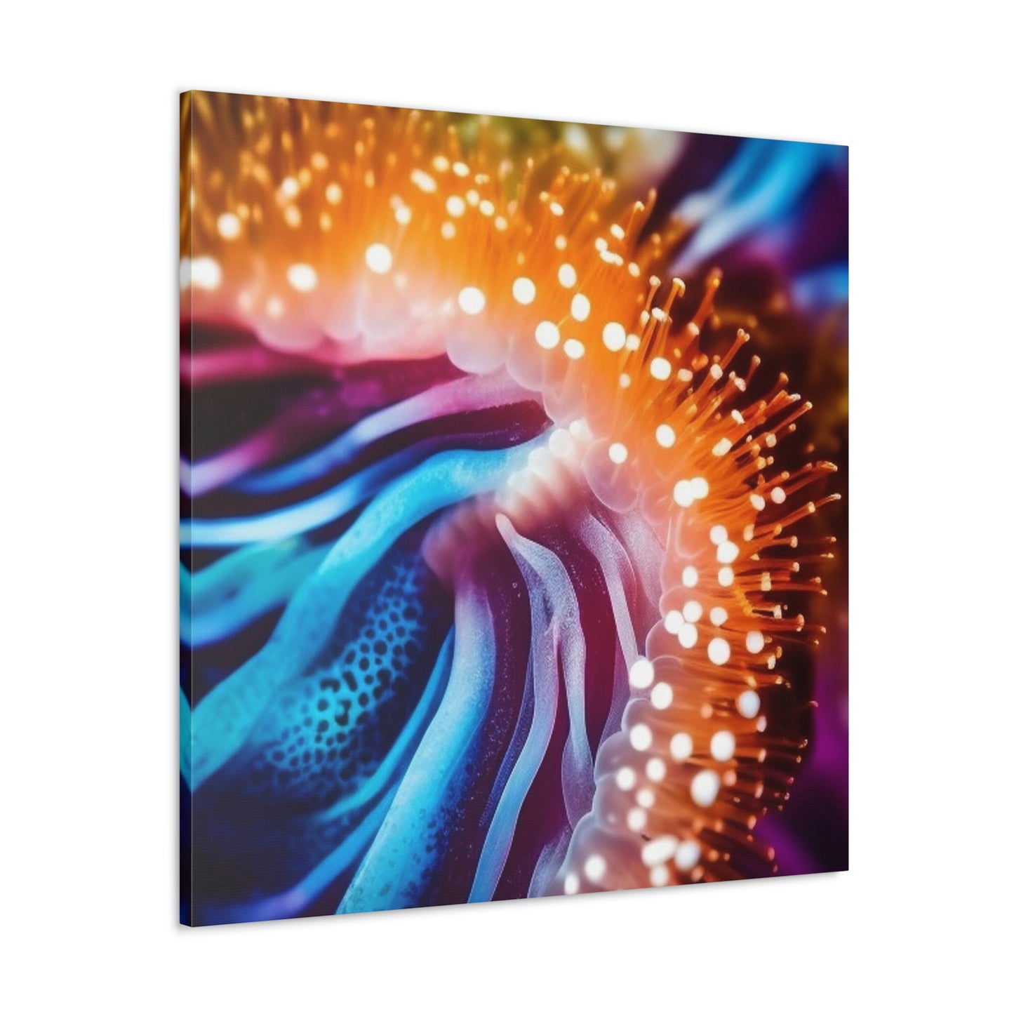 Canvas Gallery Wraps Ocean Anemone 1.4