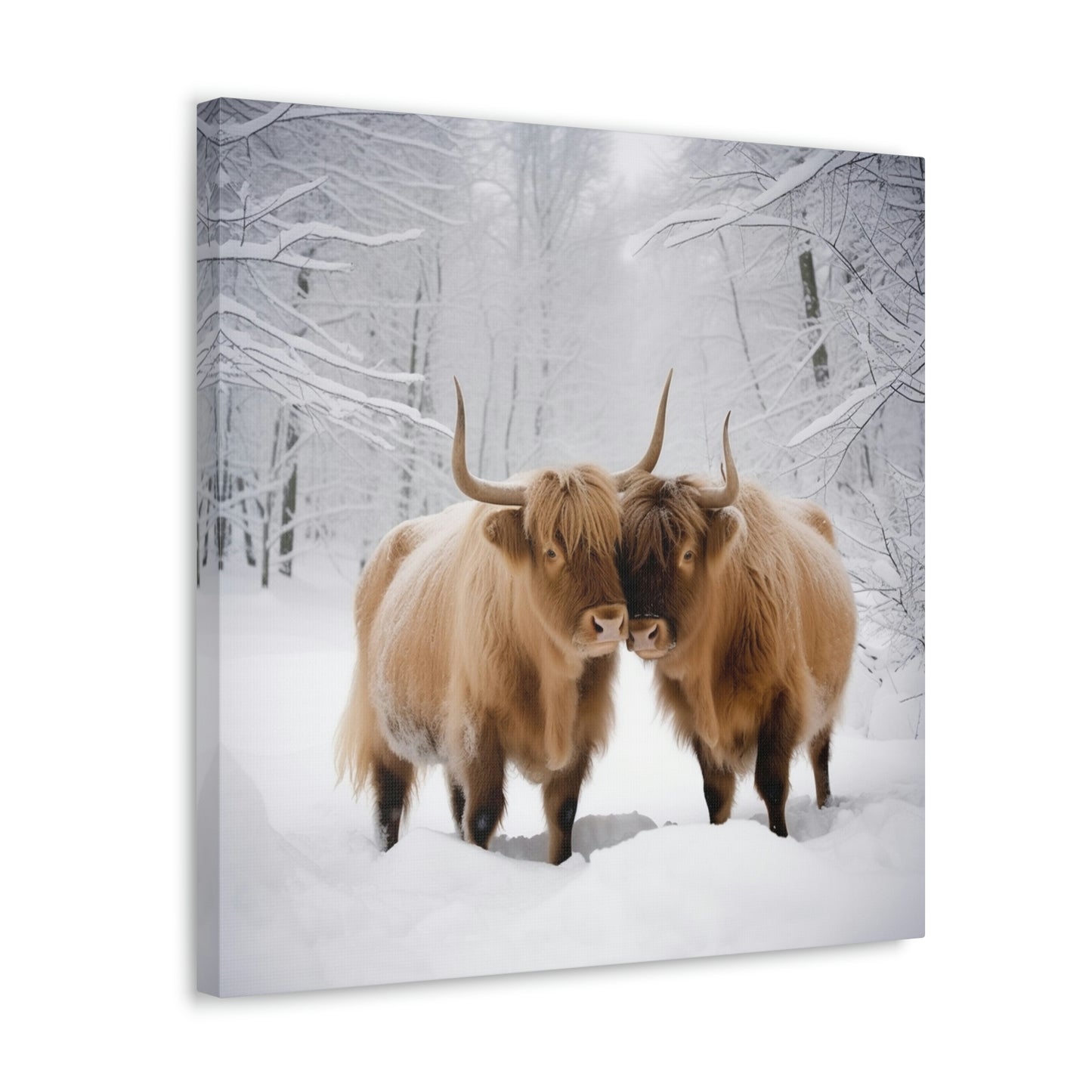 Canvas Gallery Wraps Long Haired Cow snow 1