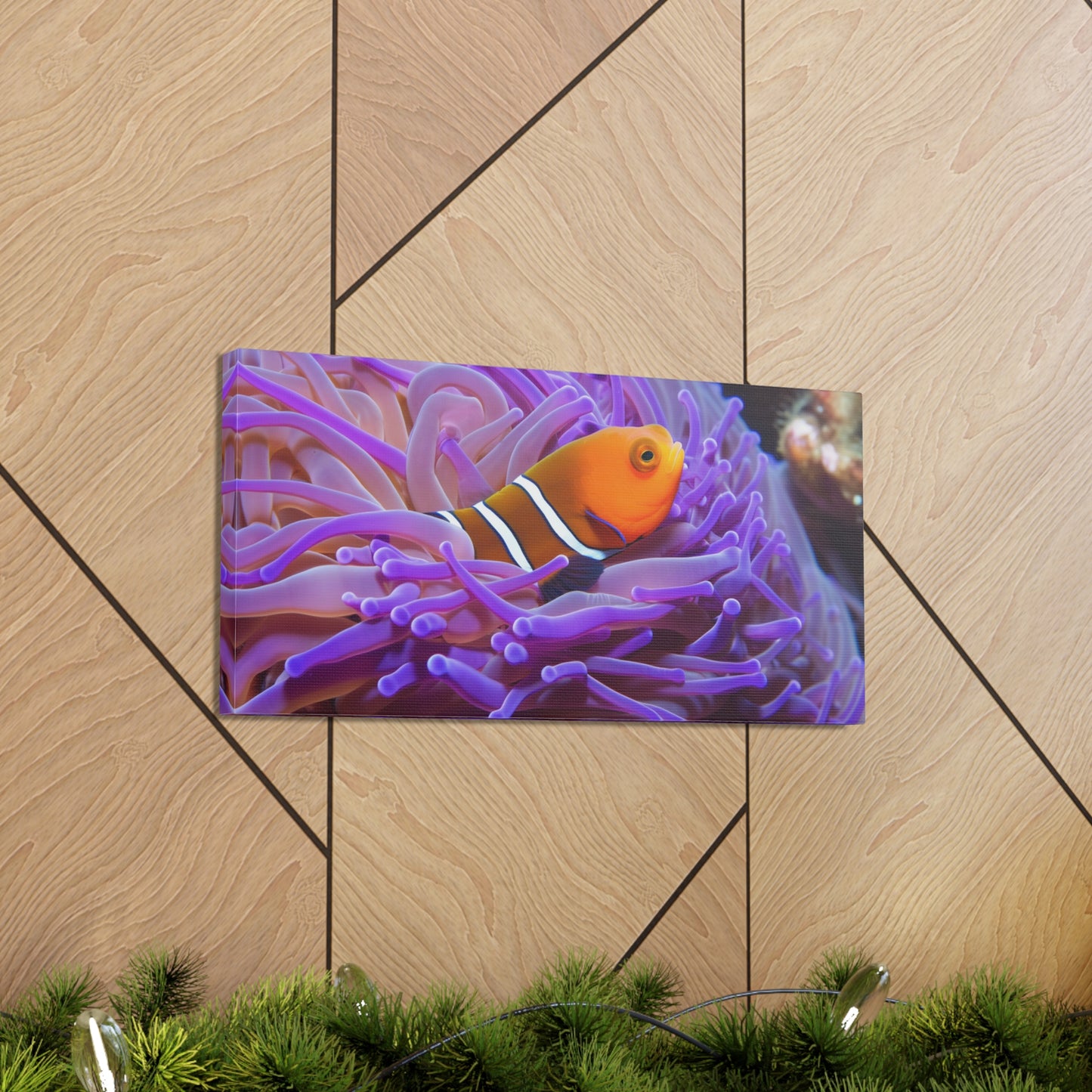 Canvas Gallery Wraps Anemone Clown 3