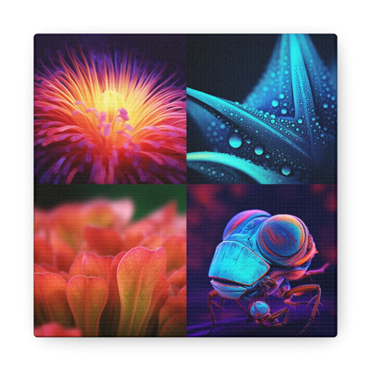 Canvas Gallery Wraps Macro Life Photo 2