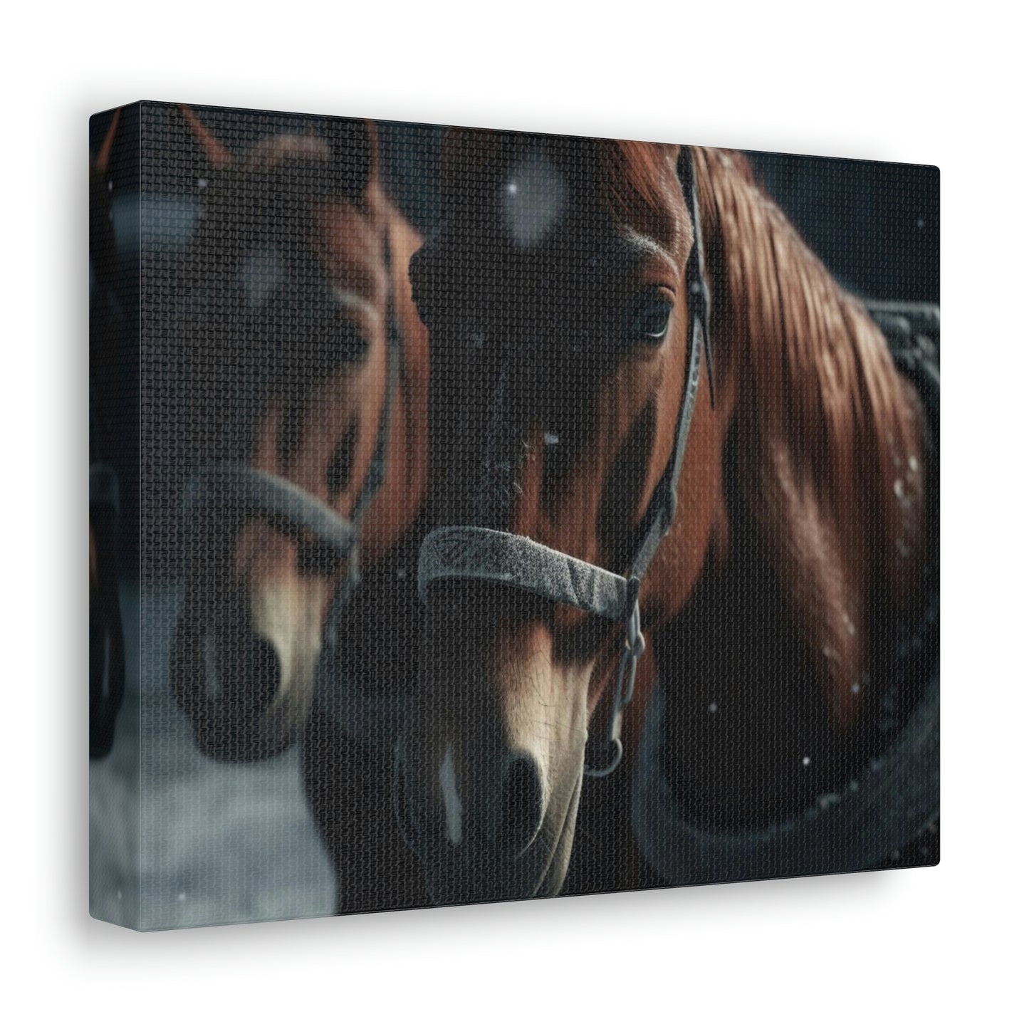 Canvas Gallery Wraps Two Snow Horses 2