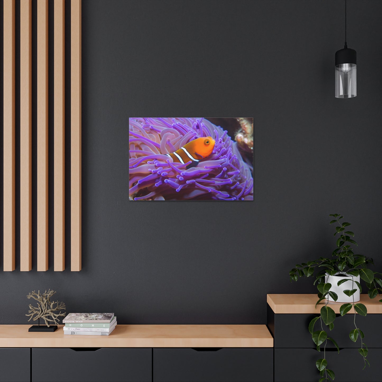 Canvas Gallery Wraps Anemone Clown 3