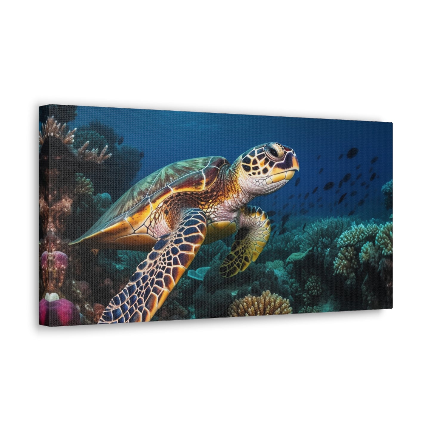 Sea Turtle Reef 1