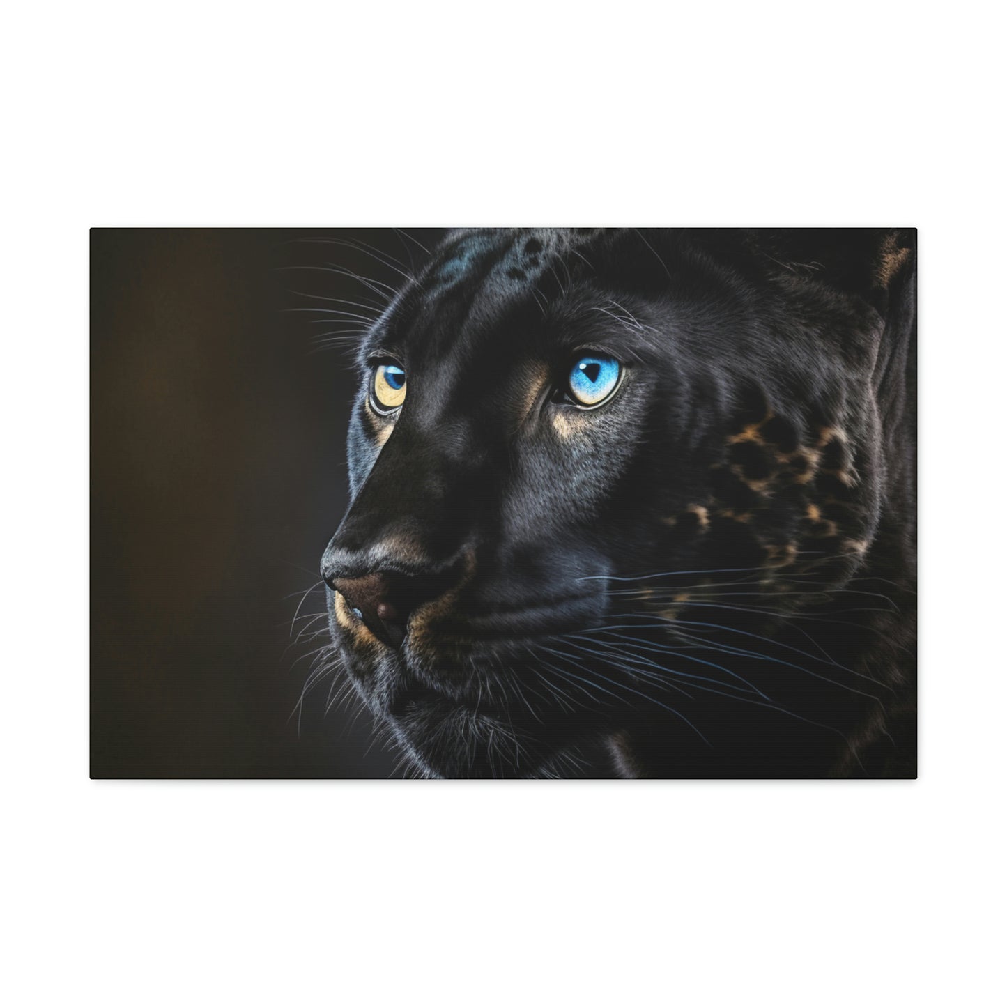 Black Panther Blue eye 5