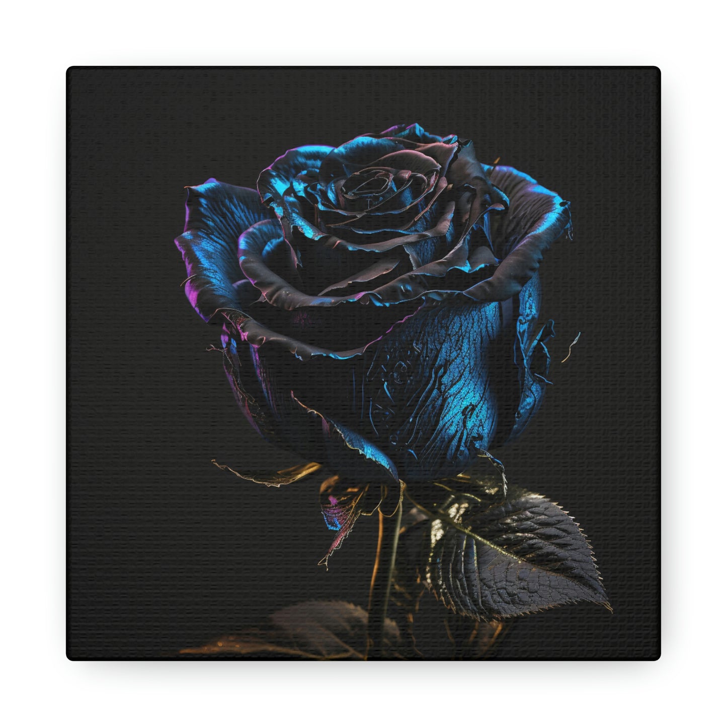 Black Blue Rose 1