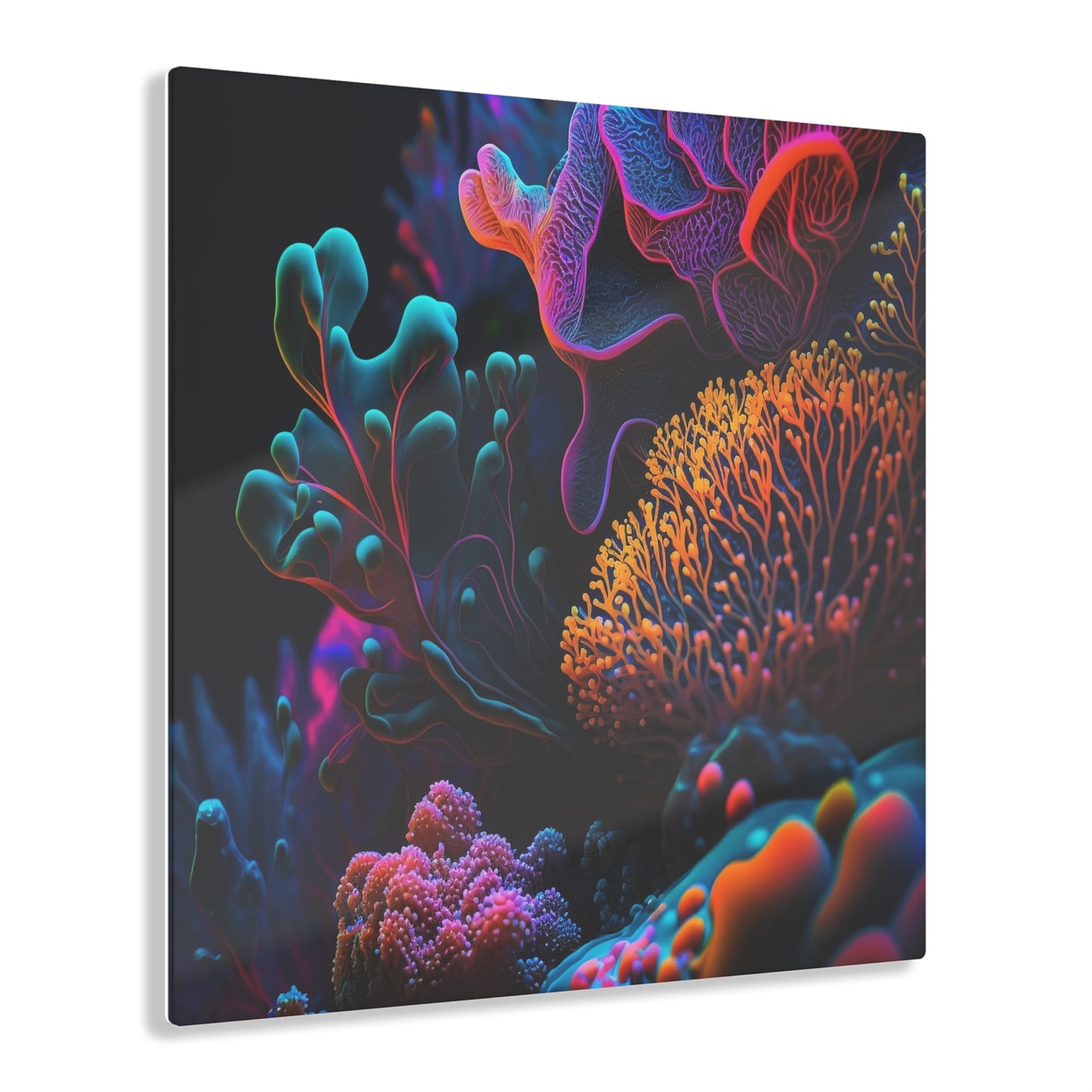 Acrylic Prints Ocean Life Macro 2