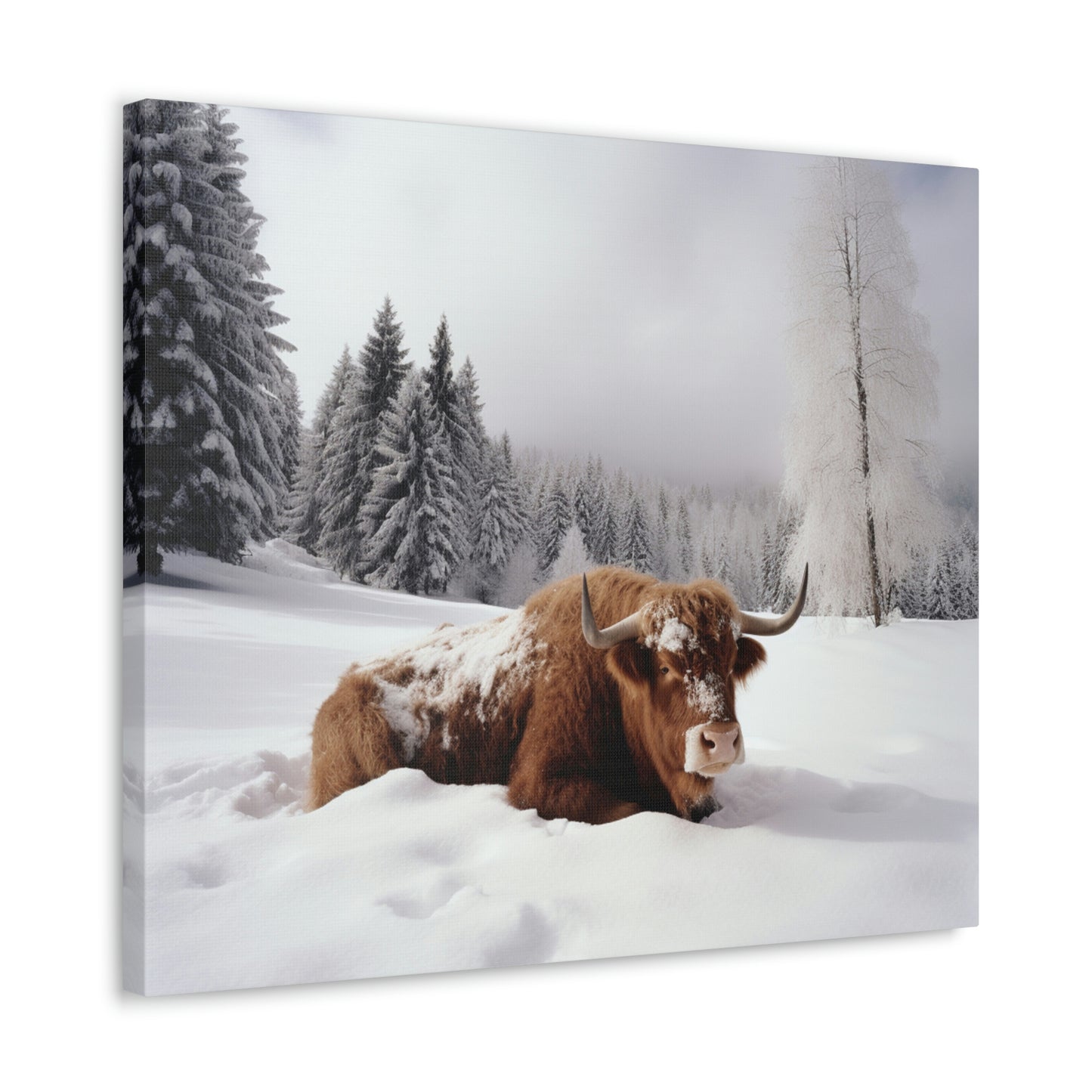 Canvas Gallery Wraps Cow Snow 2