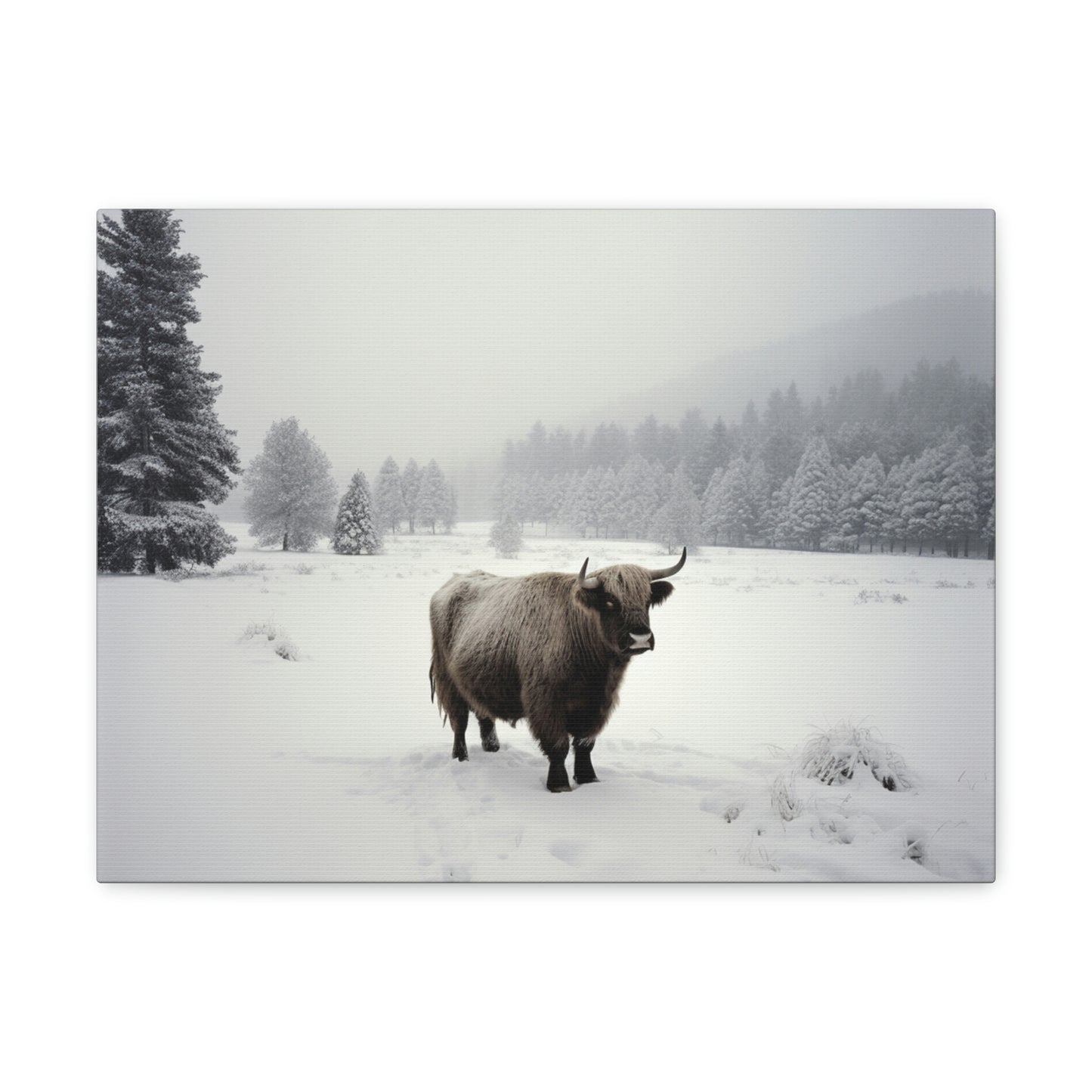 Canvas Gallery Wraps Cow Snow 4