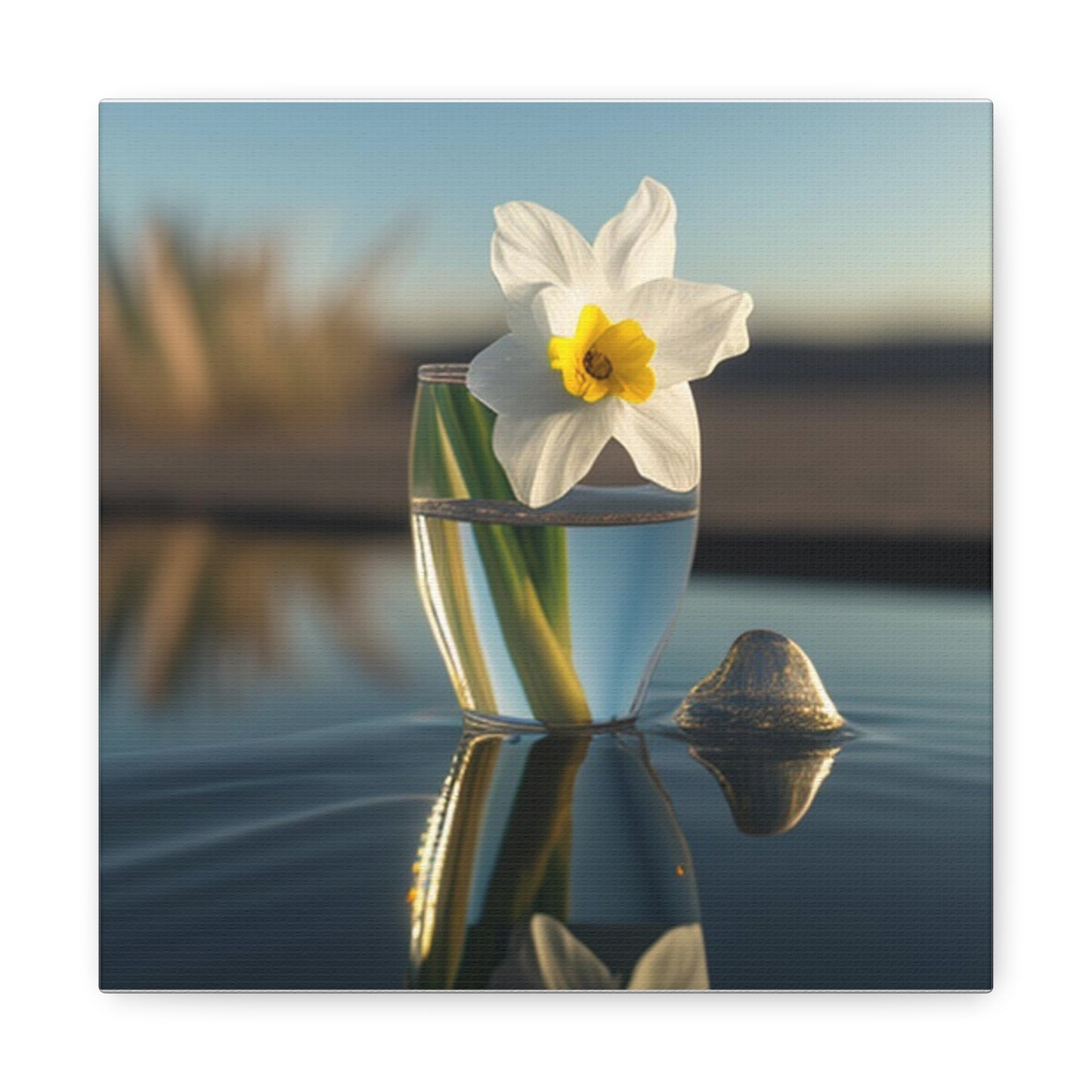 Canvas Gallery Wraps Daffodil 4