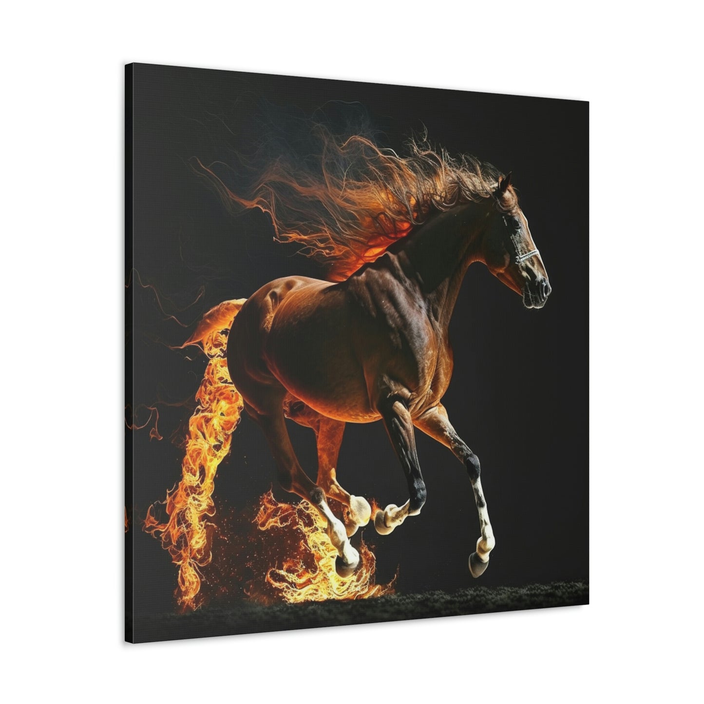 Canvas Gallery Wraps Fire Horse 5