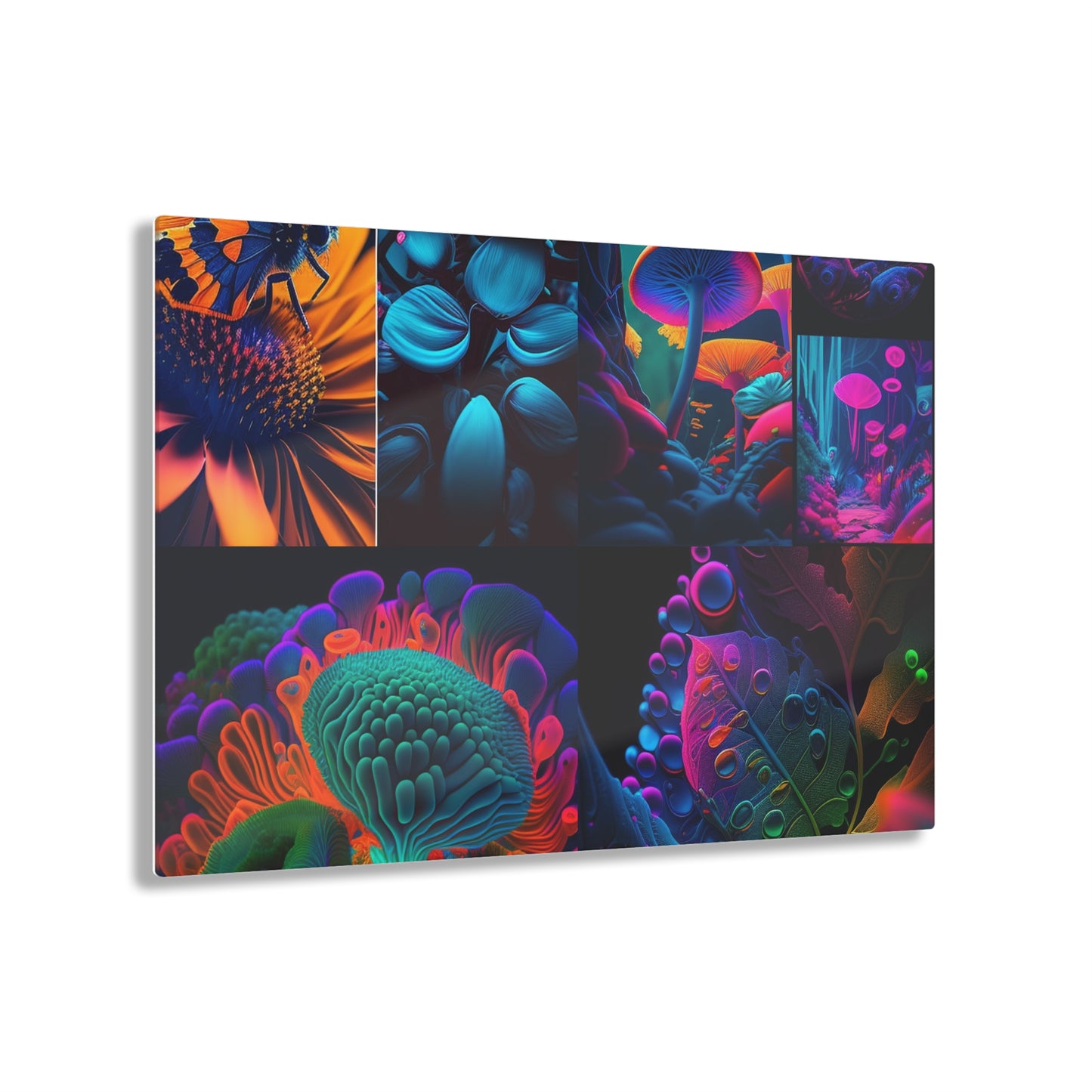 Acrylic Prints Macro Reef Florescent 5