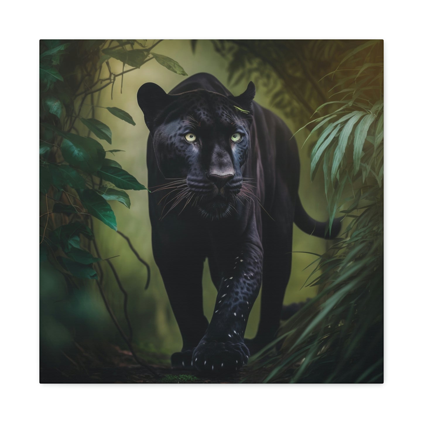 Black Panther in the Jungle 5