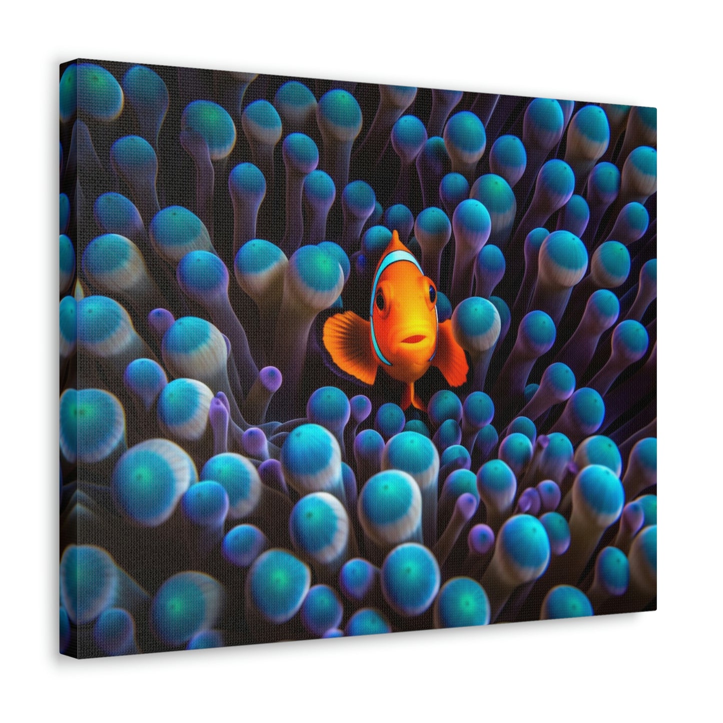 Canvas Gallery Wraps Clown Fish 1