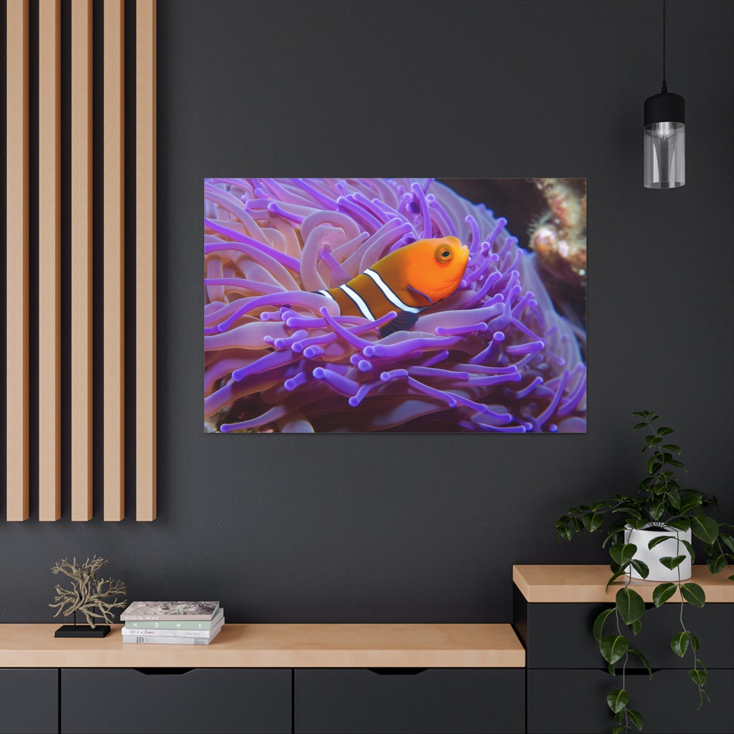 Canvas Gallery Wraps Anemone Clown 3