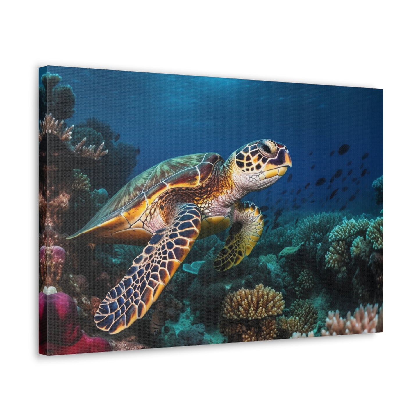 Sea Turtle Reef 1