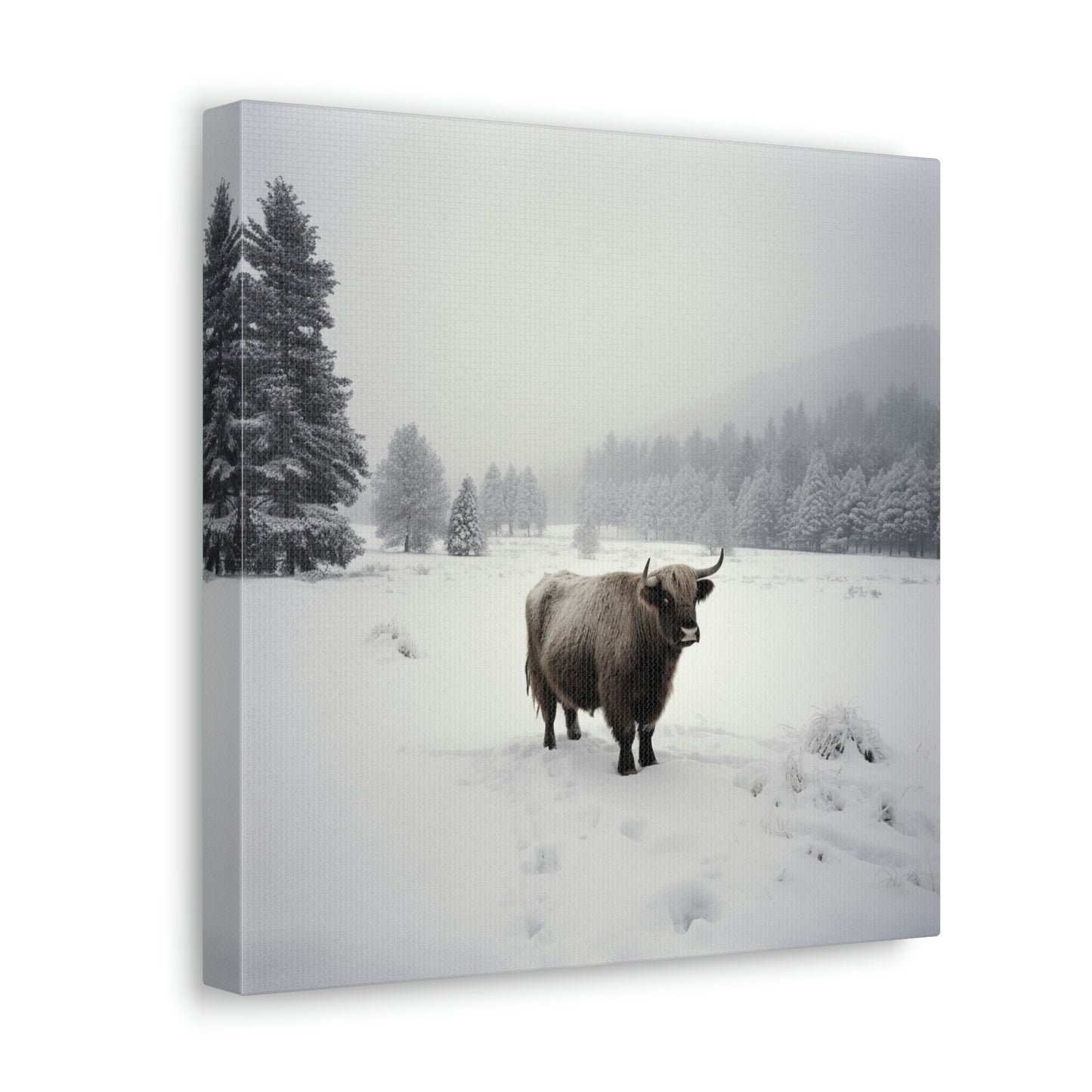 Canvas Gallery Wraps Cow Snow 4