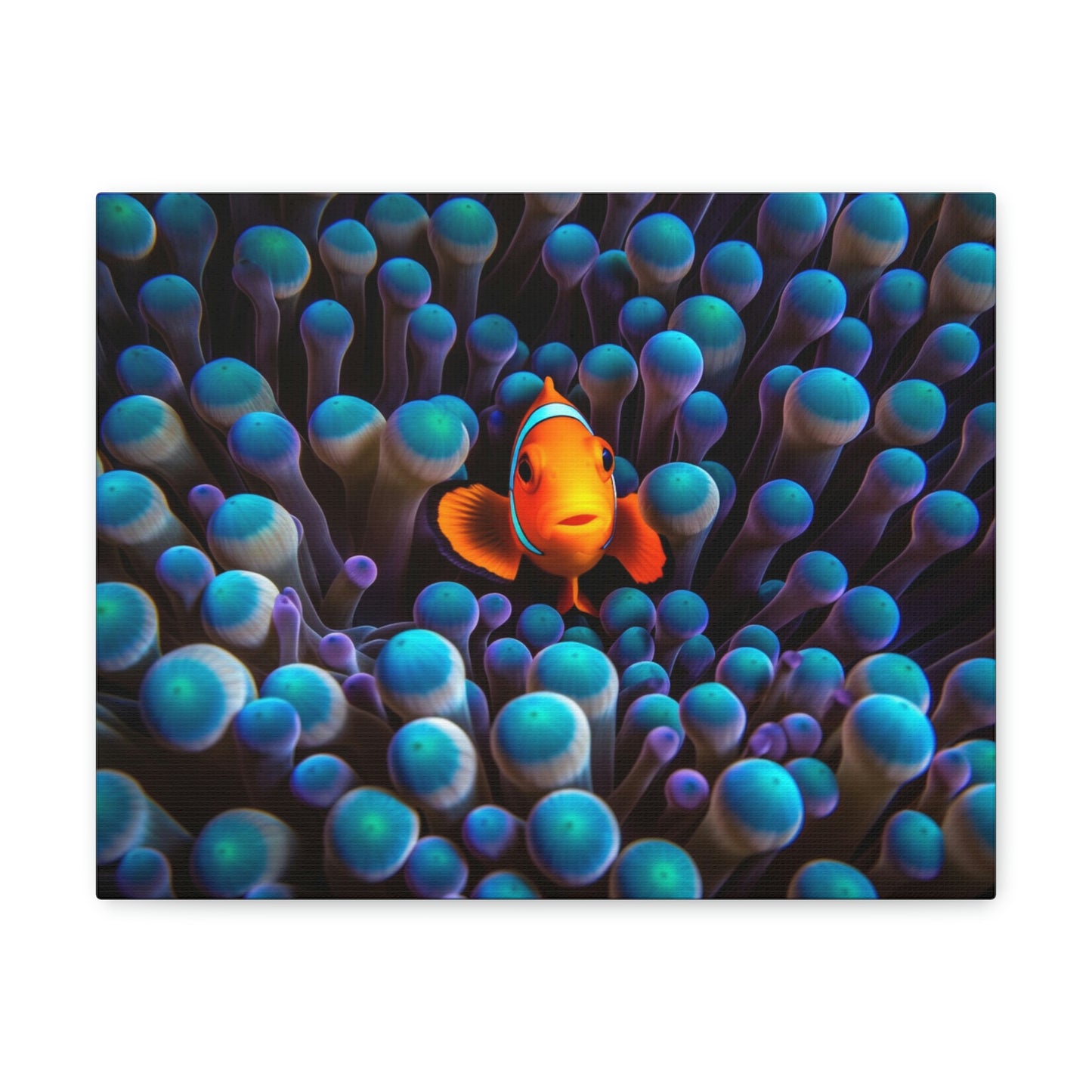 Canvas Gallery Wraps Clown Fish 1